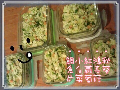 20251024-tndbv 20251024-tndbv