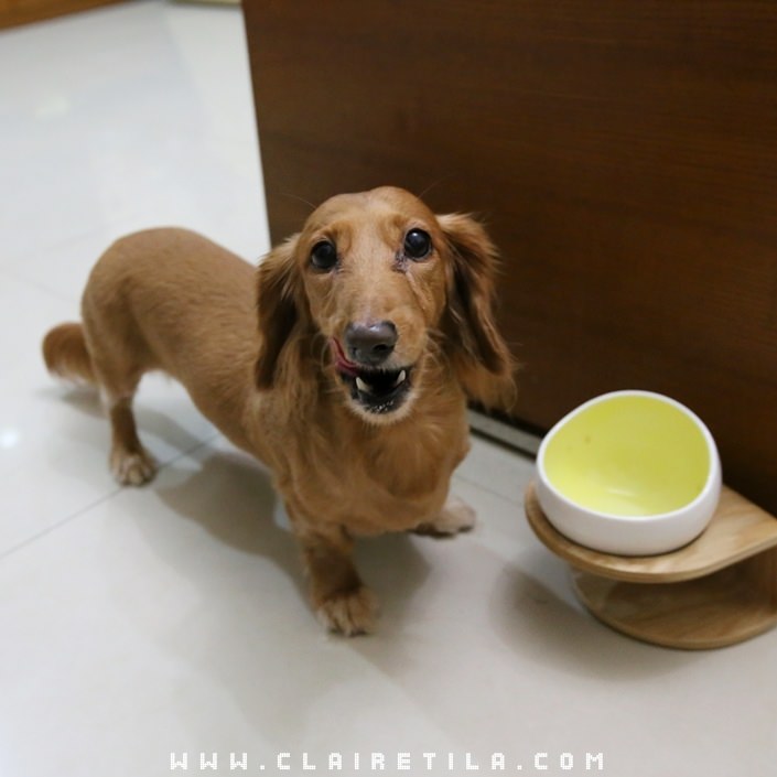 20251024-tvj07 20251024-tvj07