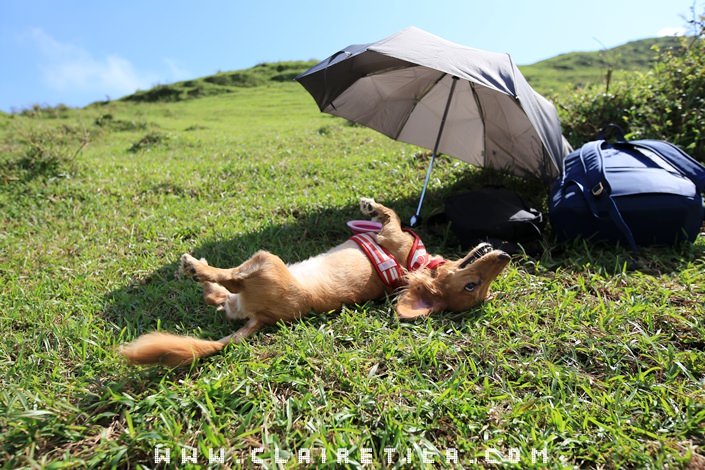 20251024-v834n 20251024-v834n