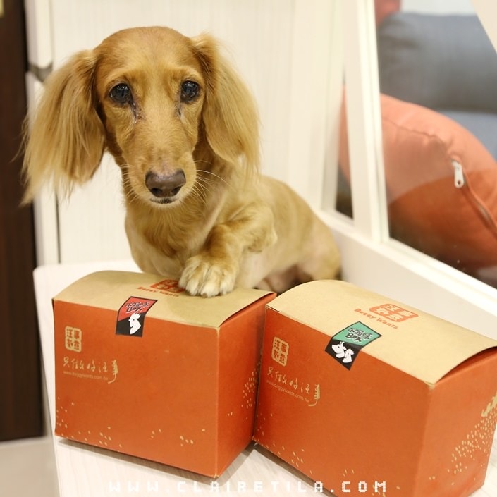 20251024-yrejh 20251024-yrejh