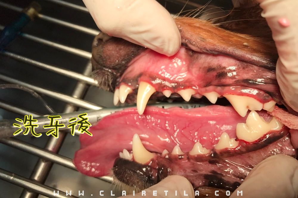 20251024-4gvvr 20251024-4gvvr