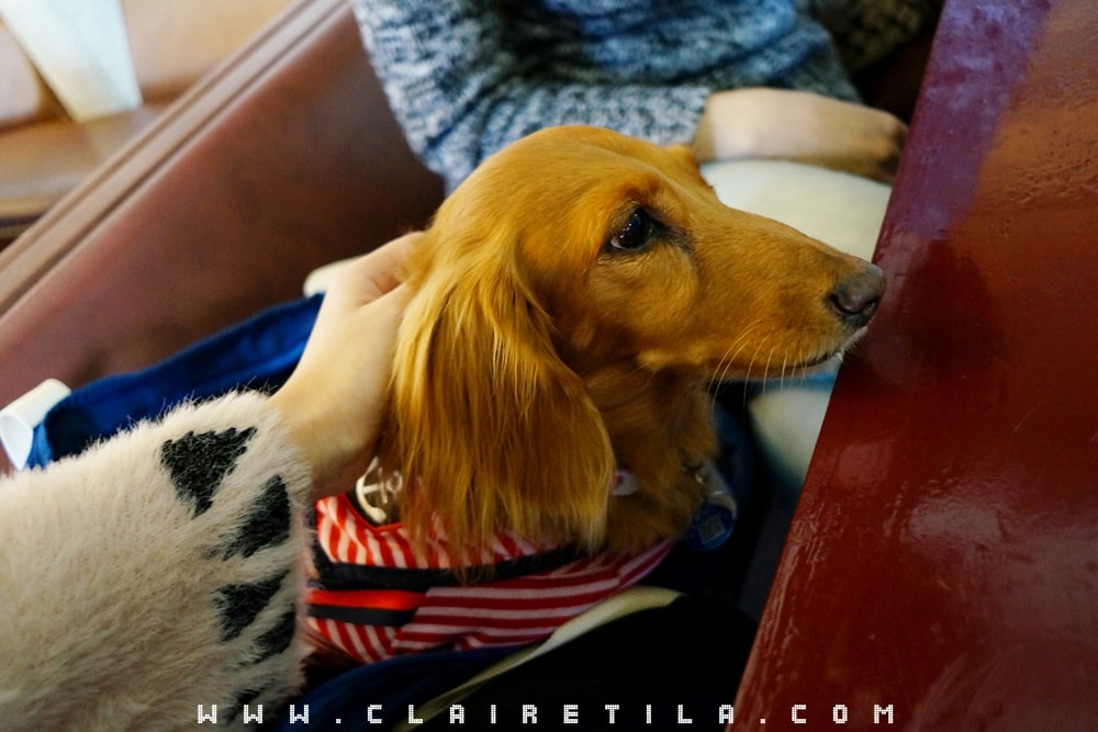 20251024-4rj3b 20251024-4rj3b