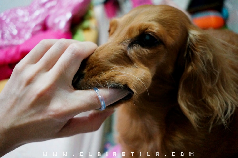 20251024-8cdcg 20251024-8cdcg