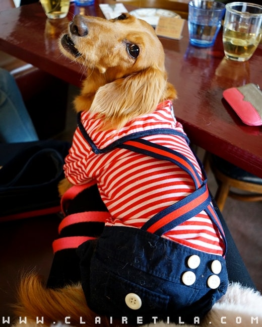 20251024-b20mx 20251024-b20mx