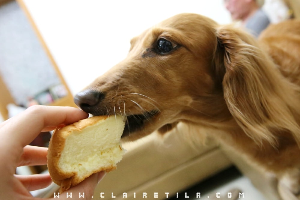 20251024-bcss4 20251024-bcss4