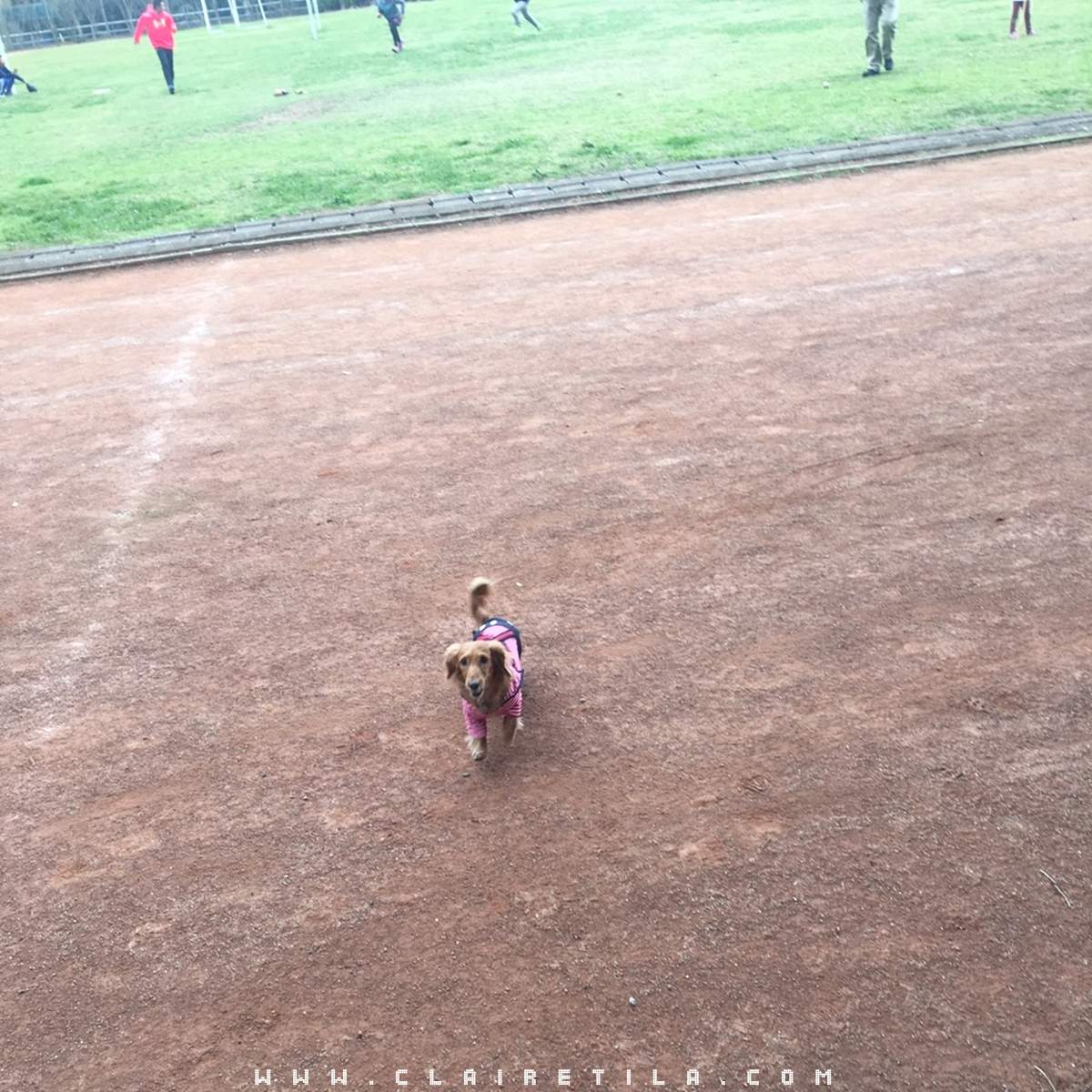 20251024-ey476 20251024-ey476