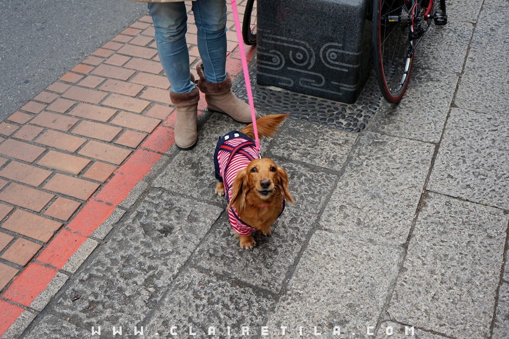 20251024-fb99i 20251024-fb99i