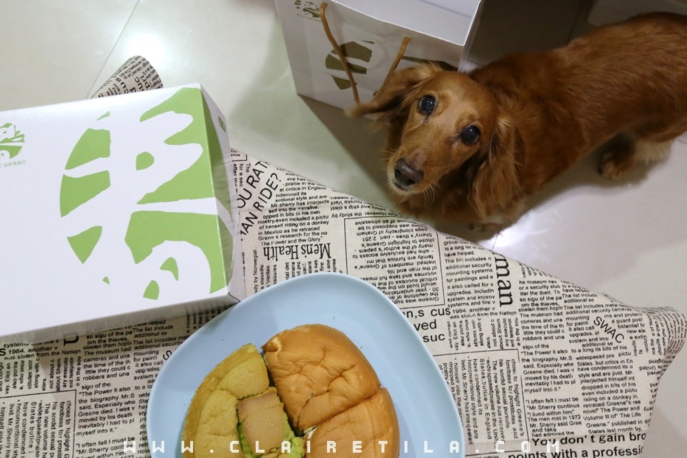 20251024-gjpnx 20251024-gjpnx