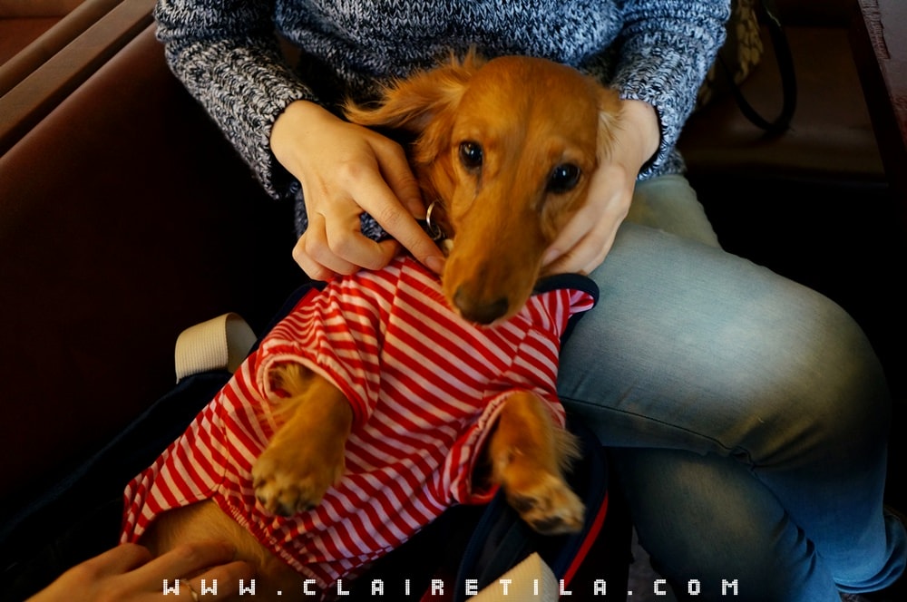 20251024-ha81b 20251024-ha81b