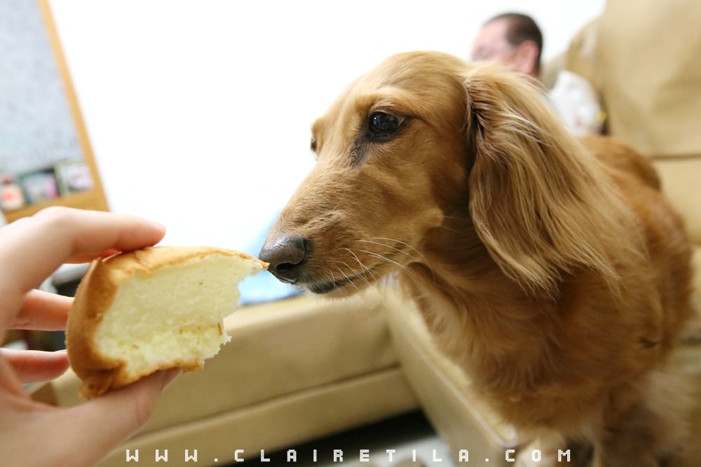 20251024-j317f 20251024-j317f