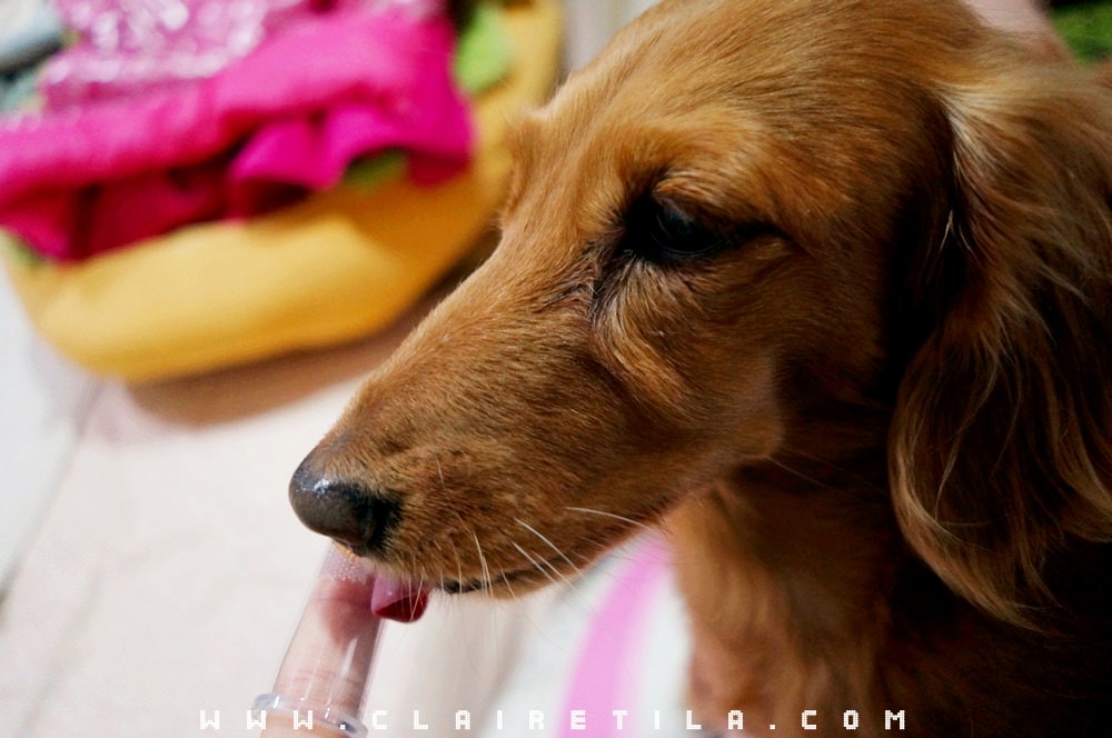 20251024-lybt8 20251024-lybt8