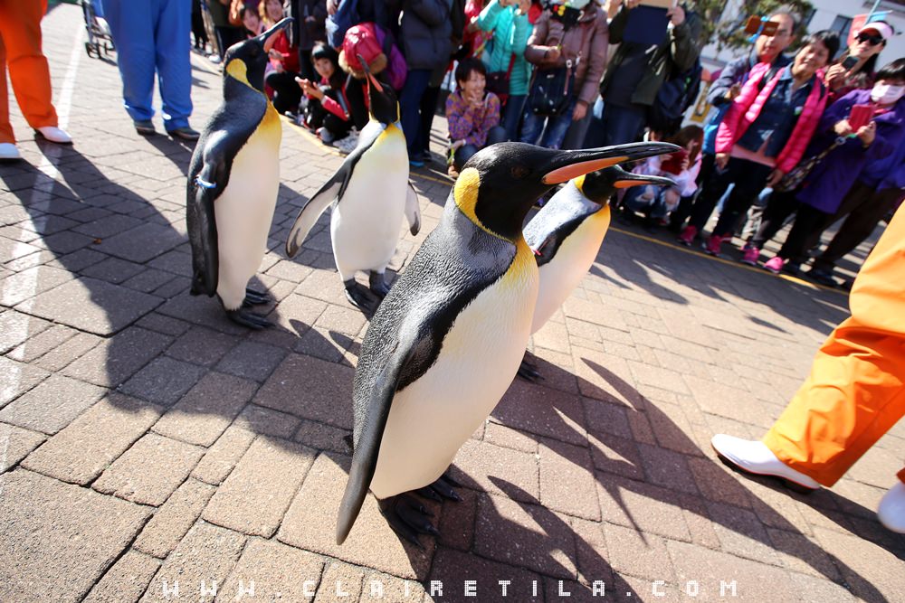 20251024-m2yq5 20251024-m2yq5