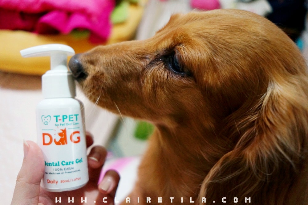 20251024-nsvdz 20251024-nsvdz