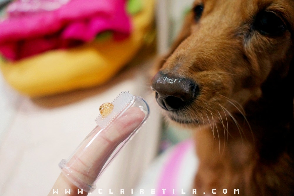 20251024-ogu09 20251024-ogu09