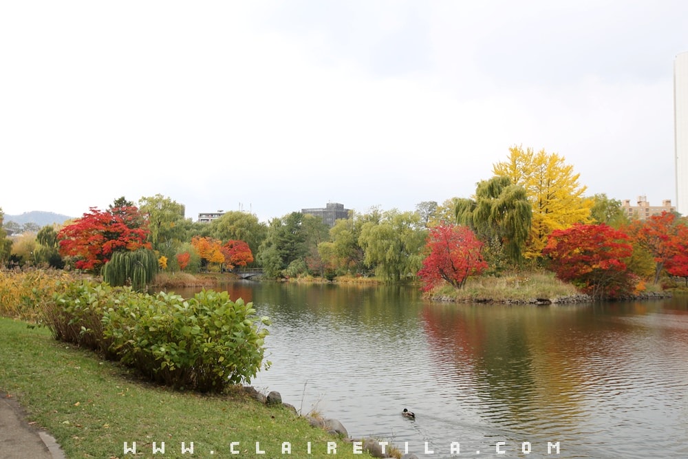 20251024-pbtxt 20251024-pbtxt