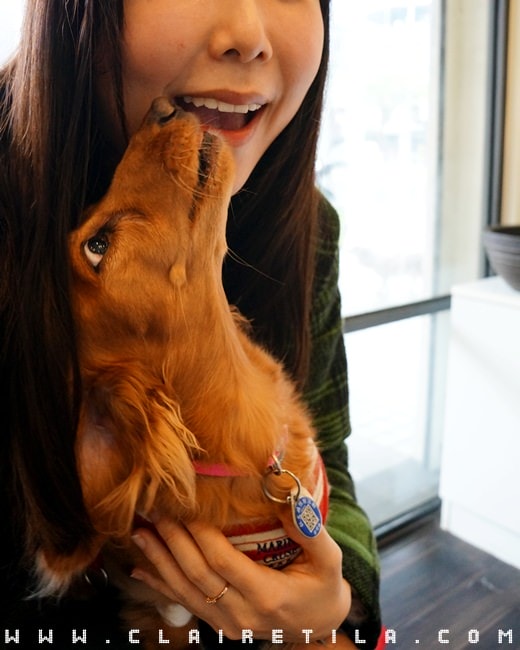 20251024-qokws 20251024-qokws