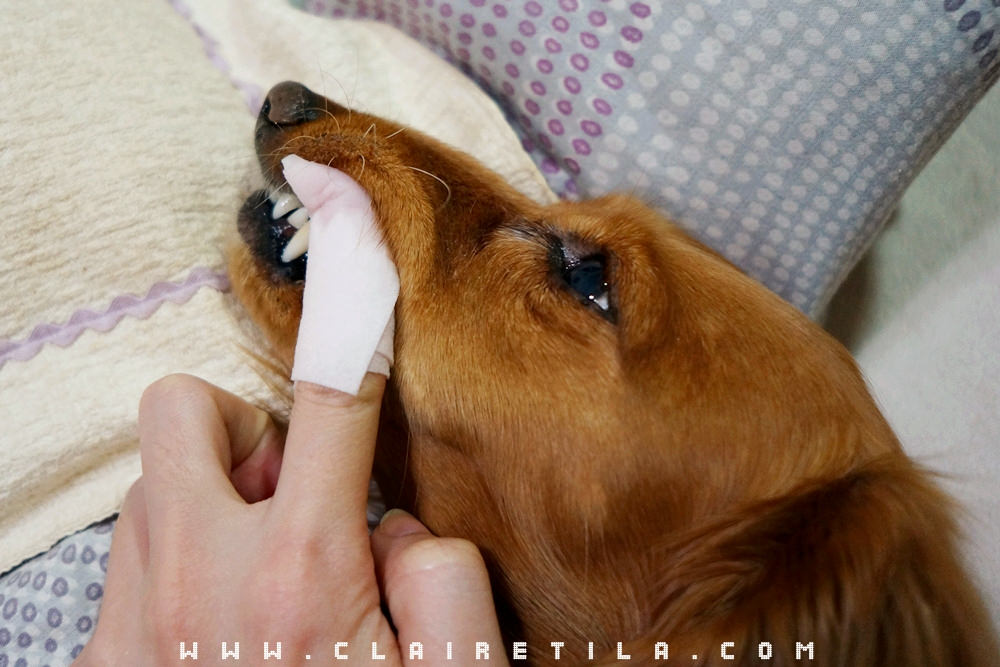 20251024-s5x7o 20251024-s5x7o