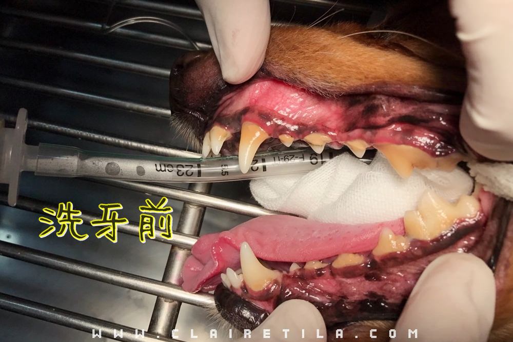 20251024-tg5te 20251024-tg5te