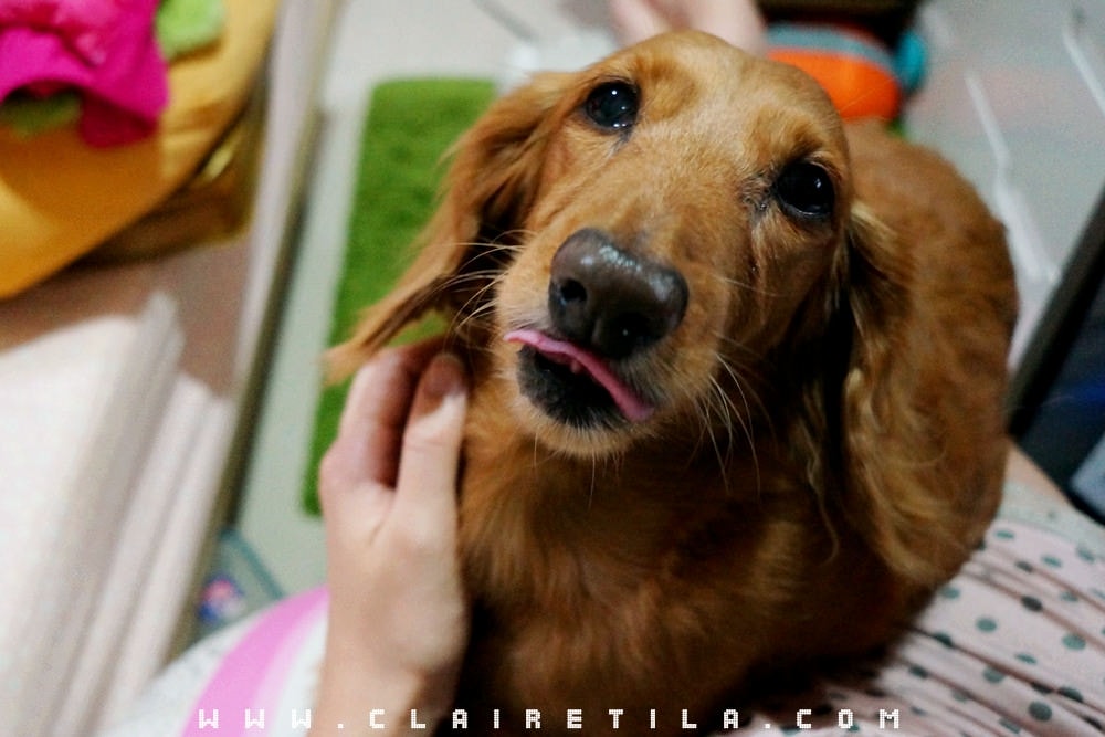 20251024-z8kri 20251024-z8kri