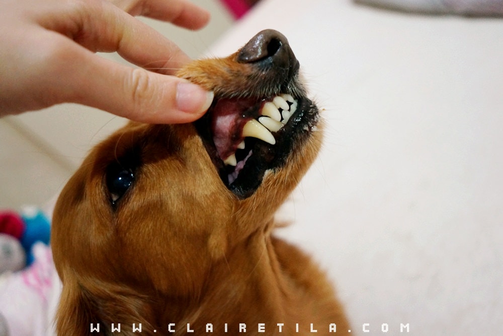 20251024-zv1o0 20251024-zv1o0