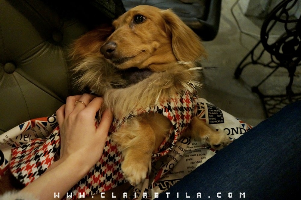 20251024-038ts 20251024-038ts