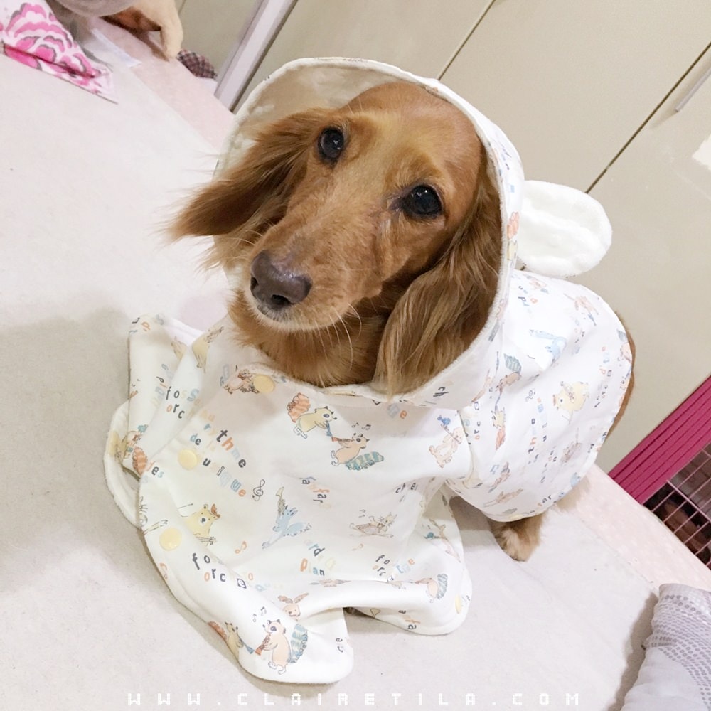 20251024-g3y5l 20251024-g3y5l