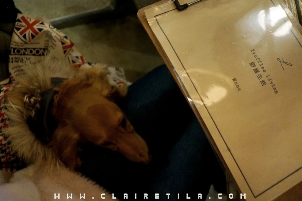 20251024-heol7 20251024-heol7