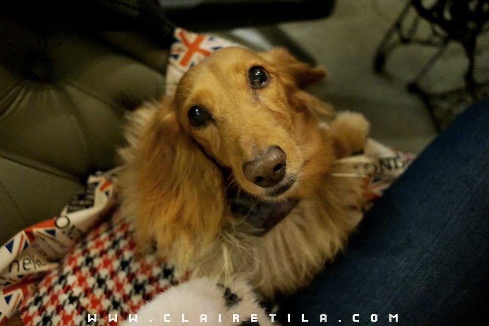 20251024-zrykr 20251024-zrykr