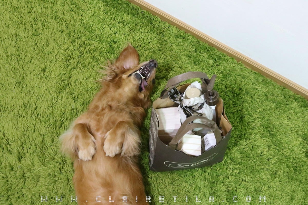 20251024-nc1s4 20251024-nc1s4