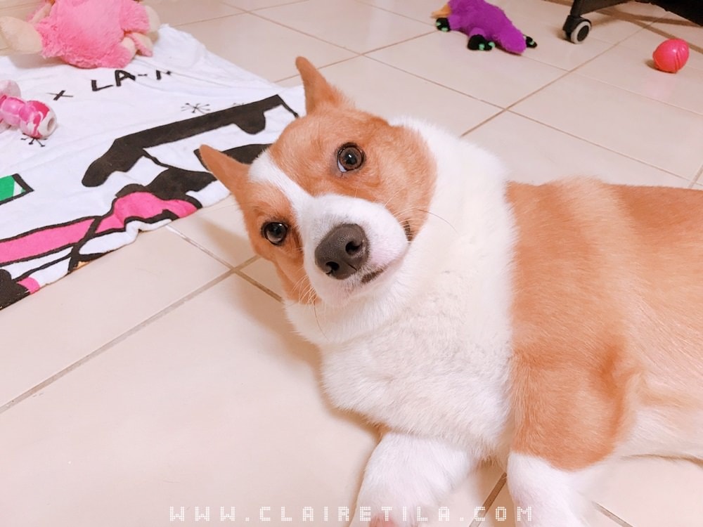 20251024-0kz70 20251024-0kz70