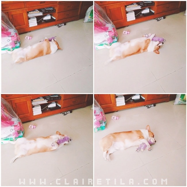 20251024-120c3 20251024-120c3