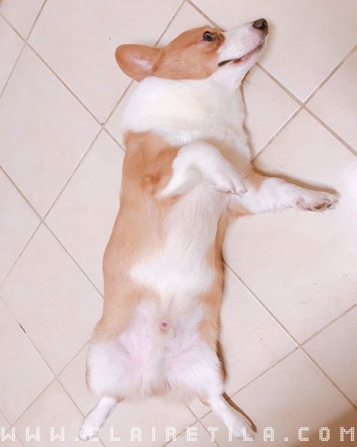 20251024-18u1g 20251024-18u1g