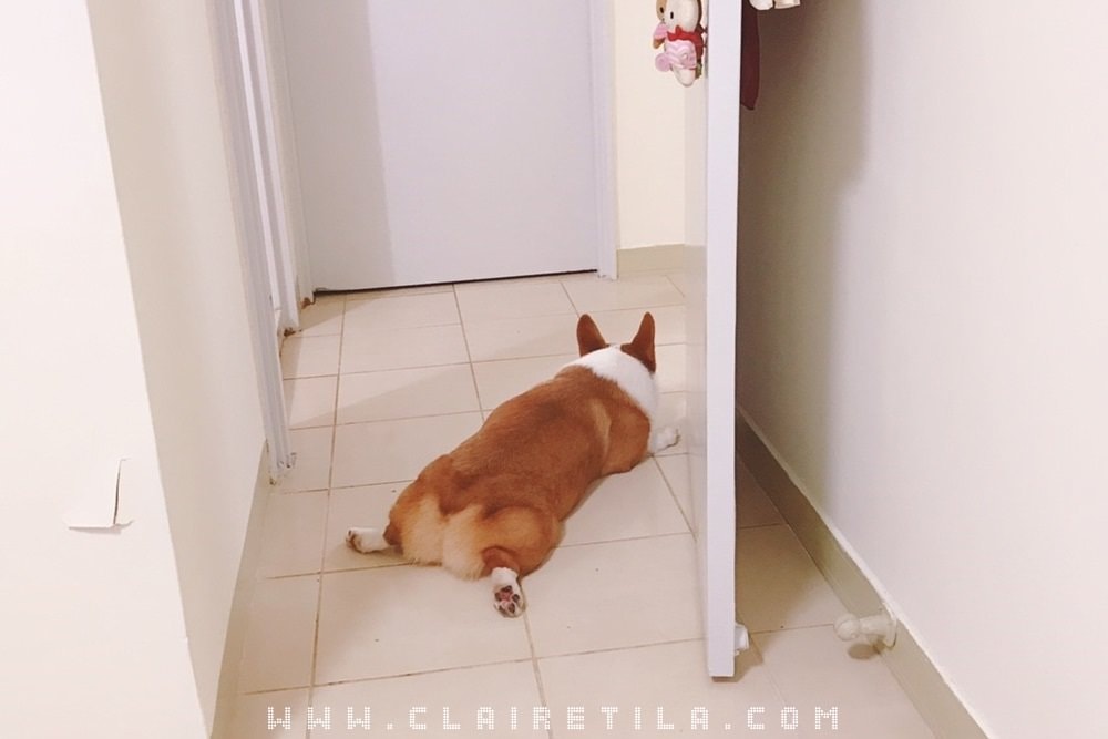 20251024-1y4rs 20251024-1y4rs