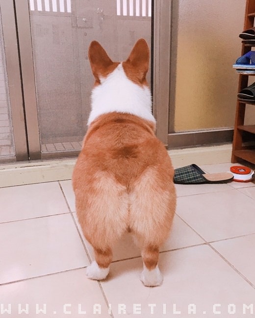 20251024-2vgew 20251024-2vgew