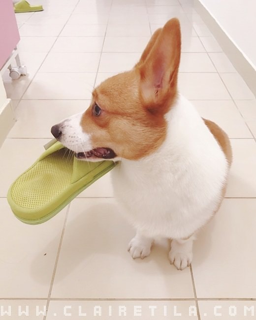 20251024-39ibb 20251024-39ibb