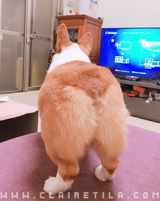 20251024-3g6tl 20251024-3g6tl