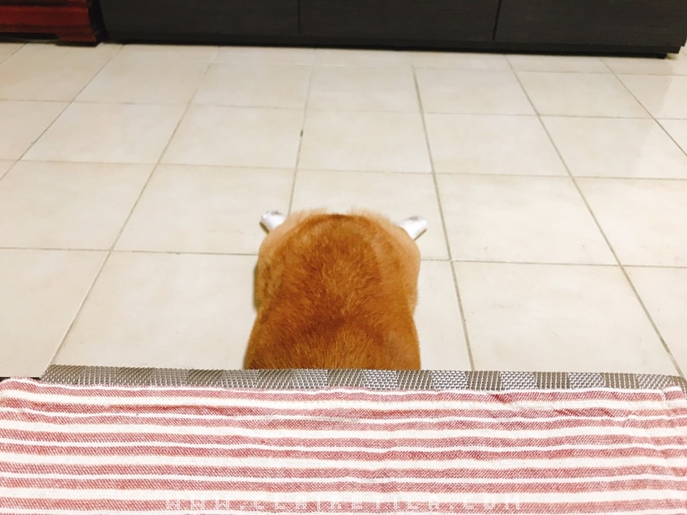 20251024-3n755 20251024-3n755