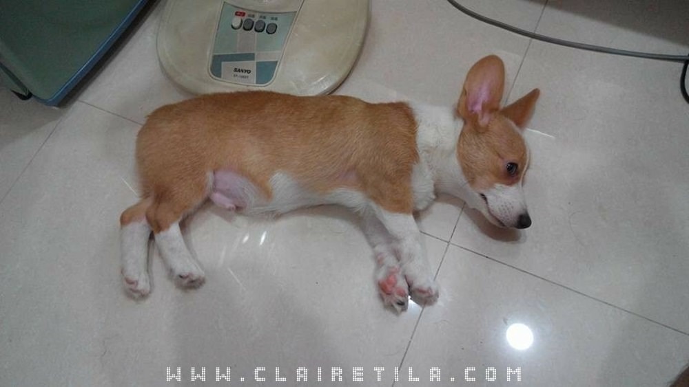 20251024-440kb 20251024-440kb