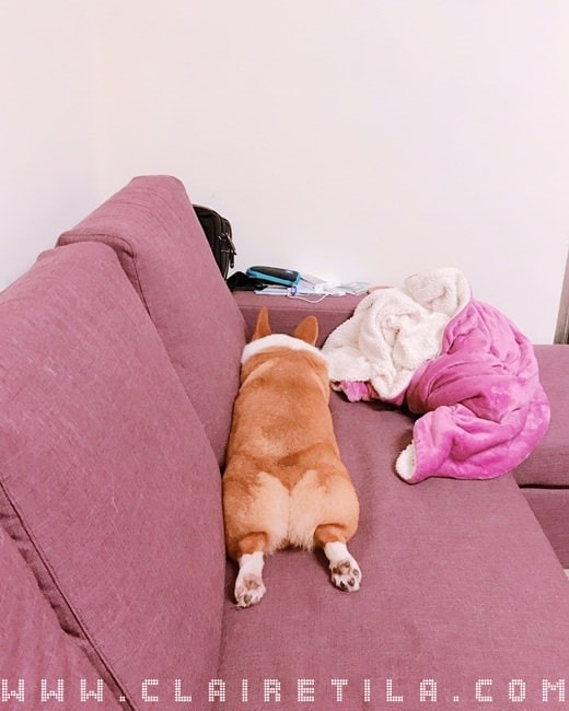 20251024-4c1zw 20251024-4c1zw