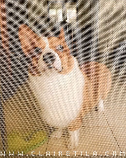 20251024-4ev7m 20251024-4ev7m