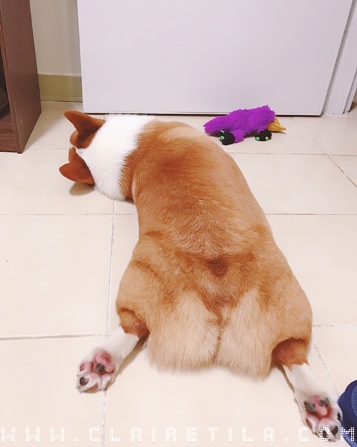 20251024-4h00x 20251024-4h00x