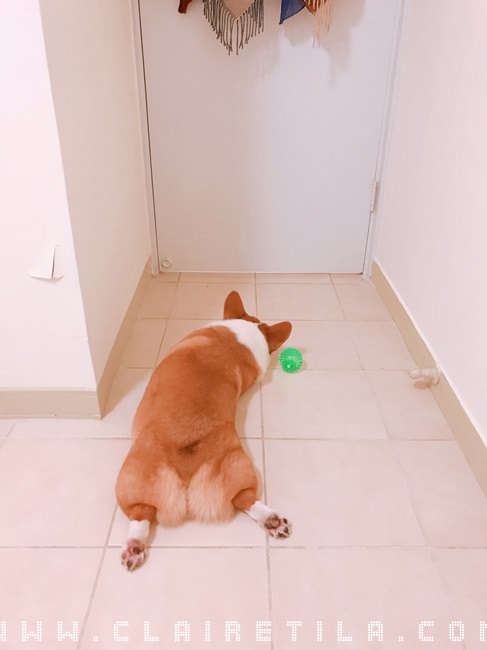 20251024-4idmz 20251024-4idmz