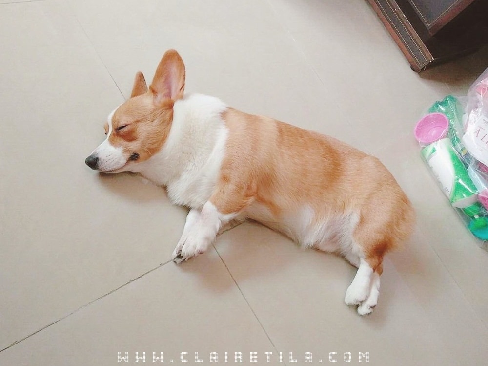 20251024-6f2gg 20251024-6f2gg