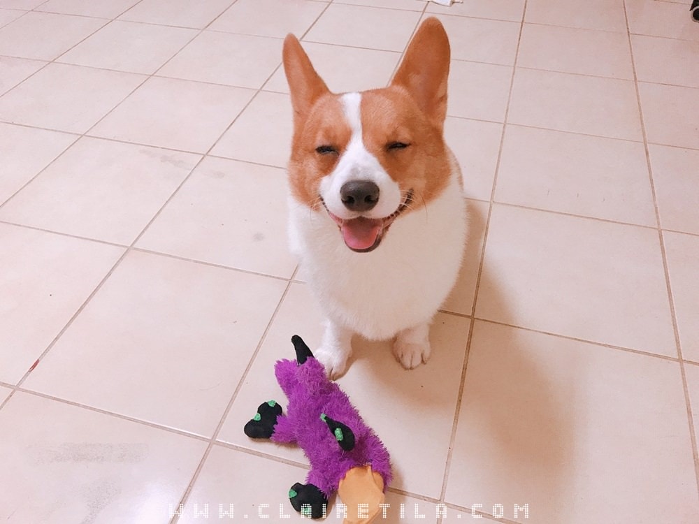 20251024-7u6nn 20251024-7u6nn