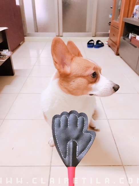 20251024-8zqo9 20251024-8zqo9