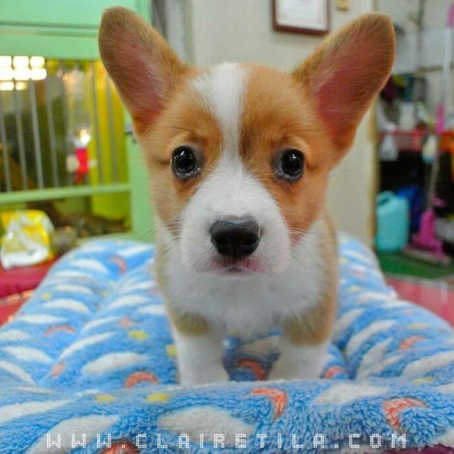 20251024-99kjv 20251024-99kjv