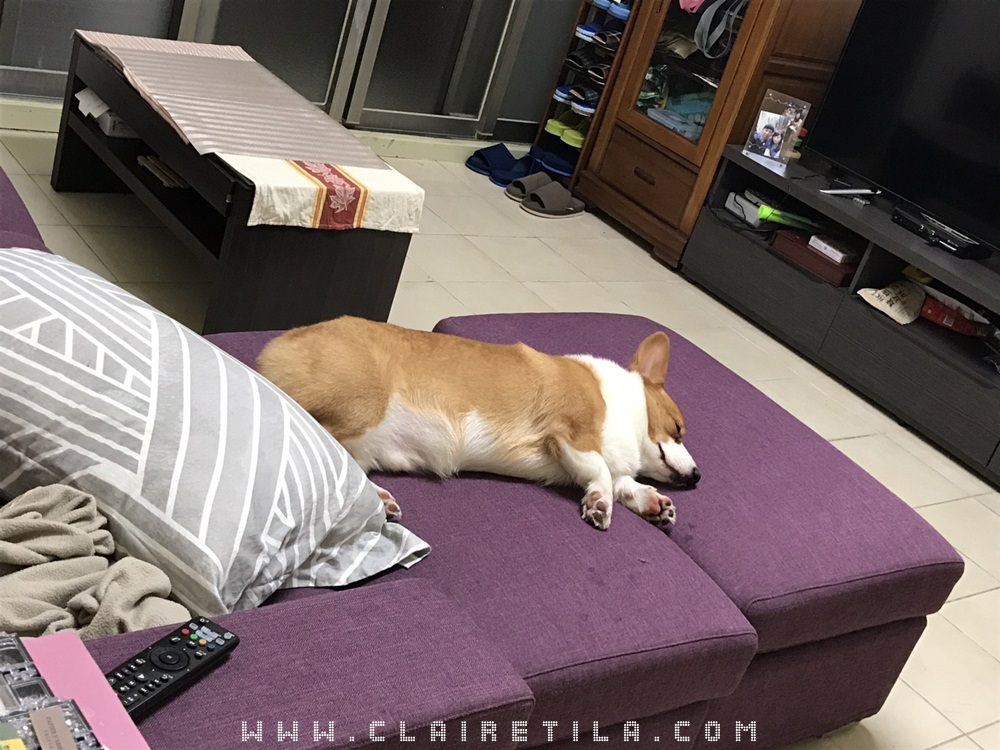 20251024-9ixoi 20251024-9ixoi