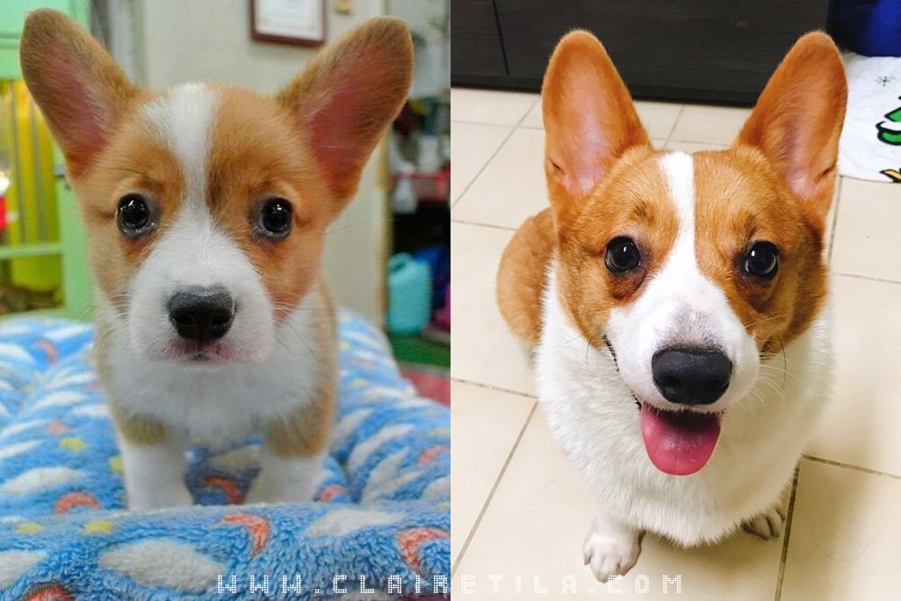 20251024-9rrfi 20251024-9rrfi