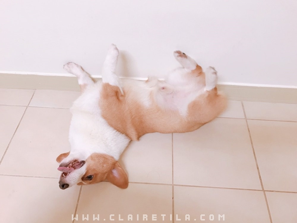 20251024-9y3n1 20251024-9y3n1