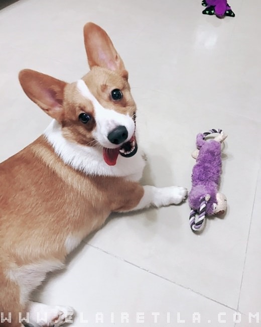 20251024-bheme 20251024-bheme